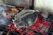 Vụ tô bị chặt chém: Cá gần 3 triệu/kg chưa phát hiện bán giá cao