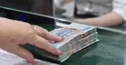 Vi phạm nghĩa vụ cung cấp thông tin thuế có thể bị phạt tới 100 triệu đồng