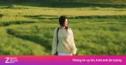 Video động cơ gắn bên thuyền tàu đụng làm dòng hot mạng xã hội