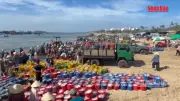 Video: Ngư dân làm đồng trùng đạm cá cơm truyền thống