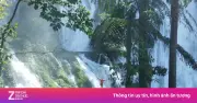 Video thác Nậm Lúc vào mùa đẹp nhất trong năm