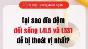 Video: Tại sao đĩa đệm L4L5 và L5S1 dễ bị thoát vị nhất?