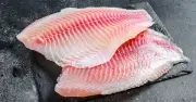 Việt Nam lần đầu xuất khẩu cá rô phi phi lê làm sushi sang Nhật Bản