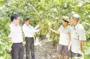 Vốn chính sách tạo sinh kế cho hơn 58.000 hộ nghèo ở Cần Thơ