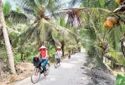 Vĩnh Long định hướng phát triển du lịch xanh, bền vững gắn với trải nghiệm bản địa