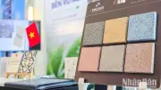 Vật liệu xanh: Yêu cầu bắt buộc để ngành xây dựng bền vững
