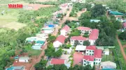 Xã biên giới Quảng Trực phủ xanh đồi bazan bằng cây mắc ca, cà phê