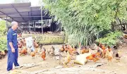 Xã Bình Liêu phát triển kinh tế nông nghiệp gắn với du lịch cộng đồng