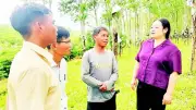 Xã Đăk Tô giữ đất mở vườn rừng, thu nhập bình quân hơn 65 triệu đồng/năm