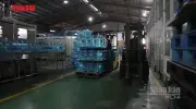 Xử lý 325.500 doanh nghiệp nợ thuế, không hoạt động tại địa chỉ đăng ký