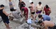Xác minh nhóm người bẻ san hô ở Nha Trang, có thể bị phạt nặng