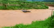 Xe bán tải bị lũ cuốn trôi ở Sơn La, tài xế thoát chết trong gang tấc