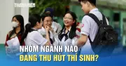 Xu hướng chọn ngành tuyển sinh 2026: Công nghệ, kinh tế và ngôn ngữ dẫn đầu