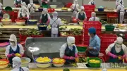 Xuất khẩu nông lâm thủy sản 6 tháng đạt 35,88 tỷ USD, tăng 6%
