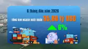 Xuất khẩu nông lâm thủy sản 6 tháng đầu năm 2026 tăng mạnh