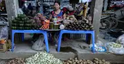 Đề xuất thuế cố định cho hộ kinh doanh: Giảm chi phí tuân thủ, hướng tới nguồn thu bền vững