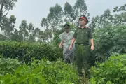 Xuyên đêm tìm kiếm cụ ông 90 tuổi mất tích ở Phú Thọ