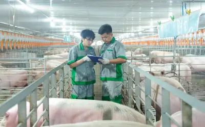 BAF Việt Nam lãi sau thuế quý II giảm gần 50% dù doanh thu tăng 54%