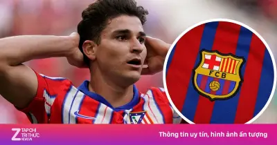 Barcelona chưa từ bỏ tham vọng chiêu mộ Julian Alvarez