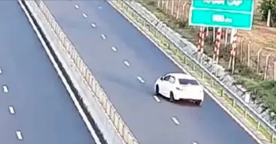 Camera ghi cảnh nữ tài xế lùi xe trên cao tốc Vĩnh Hảo - Phan Thiết