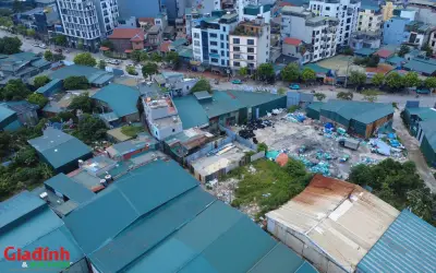 Chủ tịch UBND TP Hà Nội chỉ đạo xử lý hàng trăm nhà xưởng trái phép ở Thanh Liệt