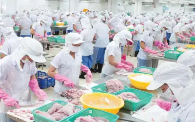 Doanh thu giảm 74%, lợi nhuận Thủy sản Mekong vẫn gấp 3 lần
