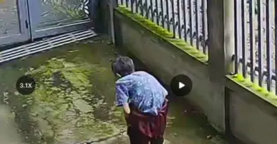 Hàng trăm người tìm kiếm cụ bà 89 tuổi mất tích ở Đồng Nai