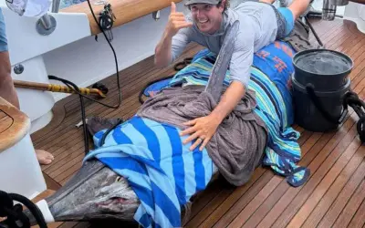 Kỷ lục mới: Cá marlin xanh 919,9 pound tại giải Big Rock