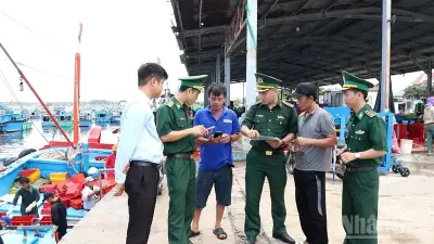 Khánh Hòa xử lý nghiêm vi phạm IUU, quyết tâm gỡ 'thẻ vàng'