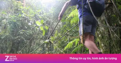 Malaysia siết quy định hiking sau loạt vụ leo núi mất tích tăng vọt