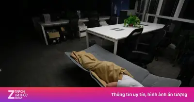 Ngủ trưa đúng cách: nên ngủ bao lâu để không mệt mỏi?