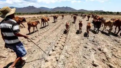 Năm 2027 có thể nóng nhất lịch sử do El Nino cực mạnh