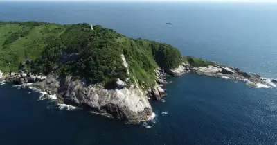 Đảo rắn Ilha da Queimada Grande: Đẹp như tranh, cấm người vì rắn cực độc