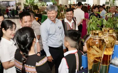 Phát triển sâm Ngọc Linh thành sản phẩm chủ lực ngành dược liệu