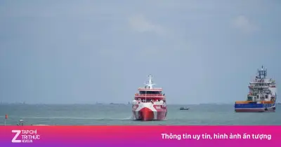 Tàu cao tốc chở 200 khách đi Côn Đảo hỏng máy, phải quay lại Vũng Tàu