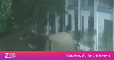 Voi rừng phá tường rào, xâm nhập trường bán trú ở Sơn La lúc nửa đêm