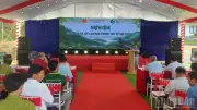 10 cá thể Gà lôi lam mào trắng quý hiếm về Việt Nam, bước ngoặt phục hồi loài