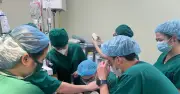Cứu nữ công nhân rơi xuống hố thang máy trong 160 phút