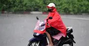 Dự báo thời tiết 3/8: Miền Bắc mưa lớn cục bộ, Hà Nội 34 độ C