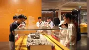 Hà Nội siết quản lý lữ hành từ 1/7/2026, xử nghiêm vi phạm