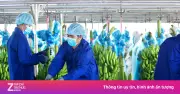 HAGL Agrico báo lãi hơn 27 tỷ đồng trong quý II/2026