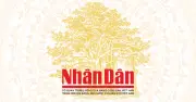 Hội sách trong chung cư: người làm sách đổi chiến thuật