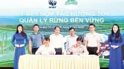 Hợp tác phát triển rừng bền vững tại Quảng Trị
