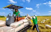 KGM báo lãi quý II/2026 giảm 33,5% do chi phí logistics tăng