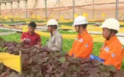 Lịch cúp điện Lâm Đồng (Bình Thuận cũ) từ 5-9/8/2026: Chi tiết từng khu vực