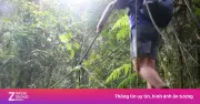 Malaysia siết quy định hiking sau loạt vụ leo núi mất tích tăng vọt