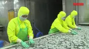 Mỗi tháng có gần 27.000 doanh nghiệp thành lập mới và quay trở lại hoạt động