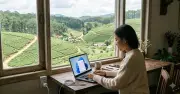 Microsoft ưu tiên hiệu suất Windows 11 thay vì chạy đua tính năng AI