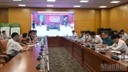 Nghị quyết 36: Cắt giảm hồ sơ, phân cấp xã cấp mã số vùng trồng từ 1/8
