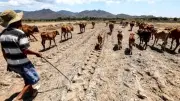 Năm 2027 có thể nóng nhất lịch sử do El Nino cực mạnh